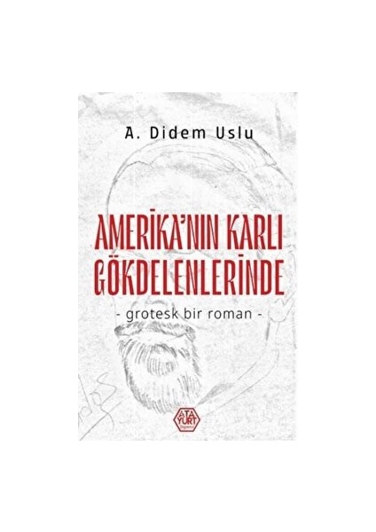 Amerika'nın Karlı Gökdelenlerinde - A. Didem Uslu - A. Didem Uslu