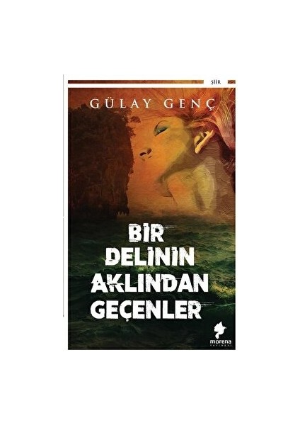 Bir Delinin Aklından Geçenler - Gülay Genç - Gülay Genç