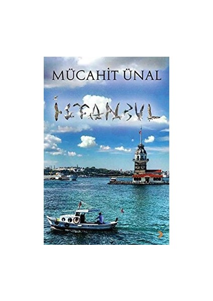 Istanbul - Mücahit Ünal - Mücahit Ünal