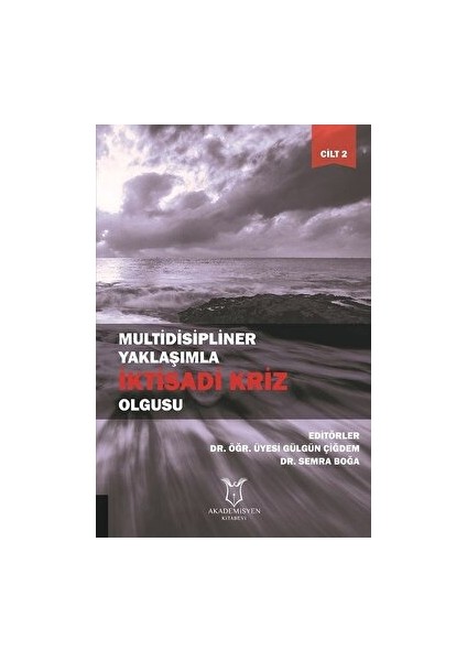 Multidisipliner Yaklaşımla Iktisadi Kriz Olgusu Cilt 2 - Gülgün Çiğdem
