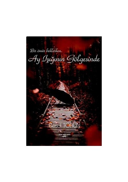 Ay Işığının Gölgesinde - Resul Torun - Resul Torun