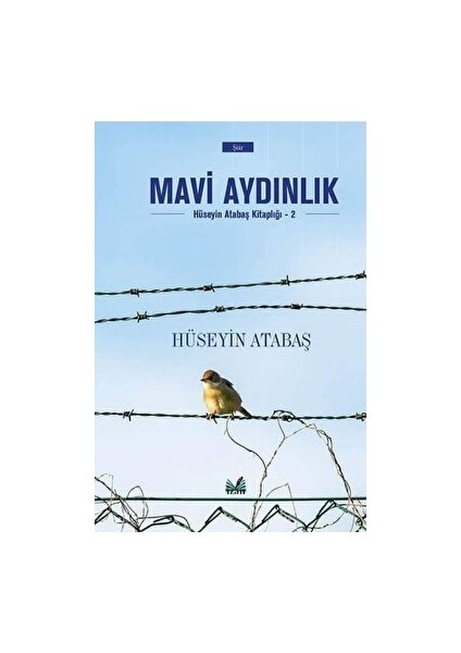 Mavi Aydınlık - Hüseyin Atabaş - Hüseyin Atabaş