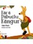 Kara Pabuçlu Kanguru 1
