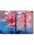 Cam Tablo 50 x 70 3