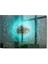Cam Tablo 50 x 70 3