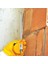 296 Şerit Metre 5 Metre * 25 mm 3
