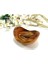 Zeytin Ağacı Ahşap Kütüklü Kase 15 cm 2
