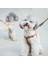 Tasma Pet Köpek Yakası-3 Set (Yurt Dışından) 3
