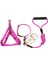 Tasma Pet Köpek Yakası-3 Set (Yurt Dışından) 1