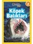 Köpek Balıkları (Seviye 2) - Anne Schreiber 1