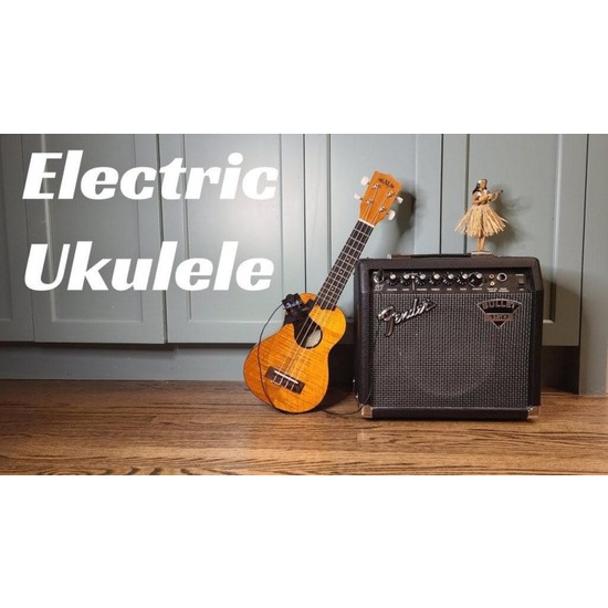 Aldım Geldi Ukulele Pickup Tutucu (Diy Electric Uke Için) Fiyatı