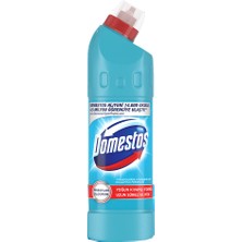 Domestos Çamaşır Suyu Yoğun Kıvamlı Formül Okaliptüs Ferahlığı Uzun Süreli Hijyen 750 ml