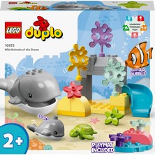 LEGO Duplo® Vahşi Okyanus Hayvanları 10972 - 2 Yaş ve Üzeri Çocuklar Için Okyanus Hayvanları Oyuncak Yapım Seti (32 Parça)