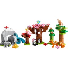 LEGO Duplo® Vahşi Asya Hayvanları 10974 - 2 Yaş ve Üzeri Çocuklar Için Vahşi Hayvan Oyuncak Yapım Seti (117 Parça)