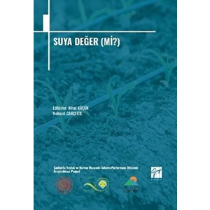 Suya Değer (Mi?)