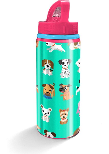 22904 Coral Hıgh Pipetli Alüminyum Matara 600 ml fiyatları