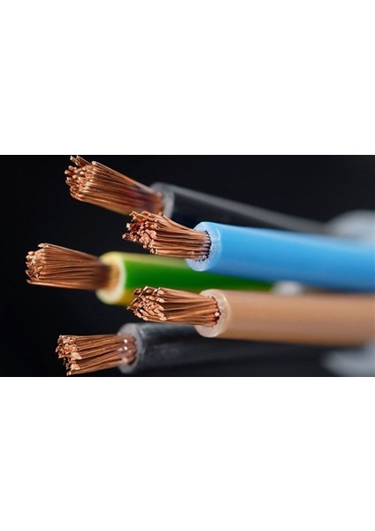 4*6 Ttr Kablo Çok Telli Elektrik Uzatma Kablosu (1 Metre) fiyatları