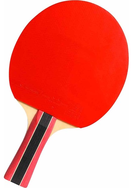 Sport 300 Ittf Onaylı Masa Tenisi Raketi