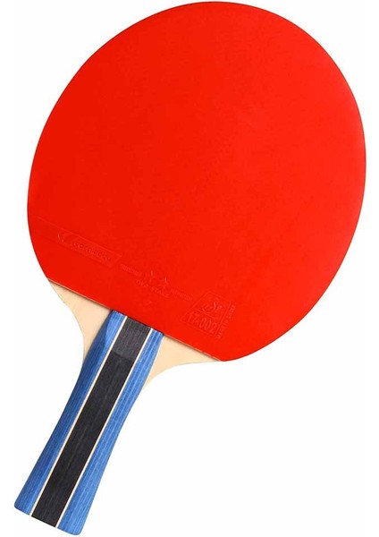 Sport 200 Ittf Onaylı Masa Tenisi Raketi