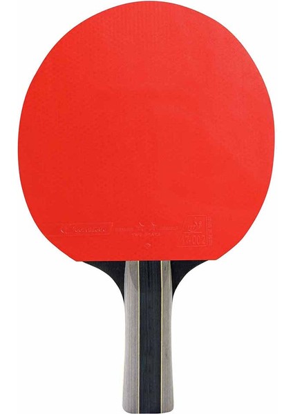 Sport Pack Duo Ittf Onaylı Masa Tenisi 2 Raket + 3 Top Set