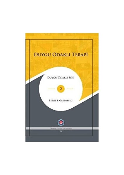Depresyonun Duygu Odaklı Terapisi - Leslie S. Greenberg - Leslie S. Greenberg