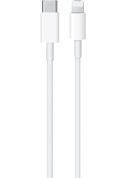 20W Watt iPhone Uyumlu Hızlı Şarj Lightning Type-C Kablolu