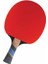 Excell 1000 Carbon Ittf Onaylı Masa Tenisi Raketi 2