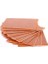 Sanec 13X25 Delikli Plaket 1
