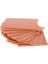Sanec 6X13 Delikli Plaket 1