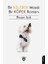 Bir Kelebek Masalı Bir Köpek Romanı 1