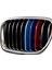 Bmw E39 1995-2013 Böbrek Şeridi 1