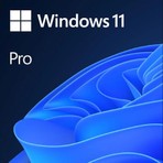 Microsoft Windows 11 Pro Lisans 32BİT/64BİT Türkçe USB Sürüm ile Hızlı Kurulum