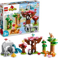 LEGO Duplo® Vahşi Asya Hayvanları 10974 - 2 Yaş ve Üzeri Çocuklar Için Vahşi Hayvan Oyuncak Yapım Seti (117 Parça)