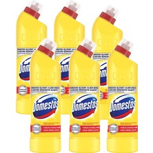 Domestos Çamaşır Suyu 750 ml Limon Ferahlığı, 6' Lı