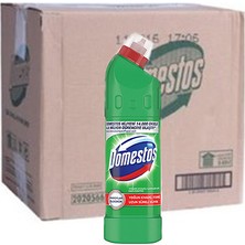 Domestos Çamaşır Suyu Dağ Esintisi 750 ml 20'li Koli