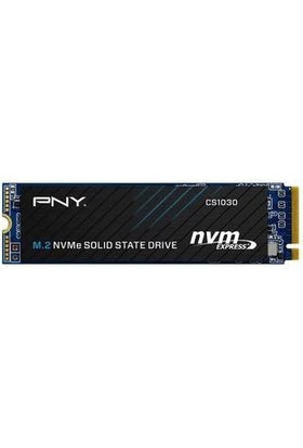 Pny 250GB CS1030 GEN3X4 M.2 Nvme SSD (2500MB Okuma / 1100MB Yazma)