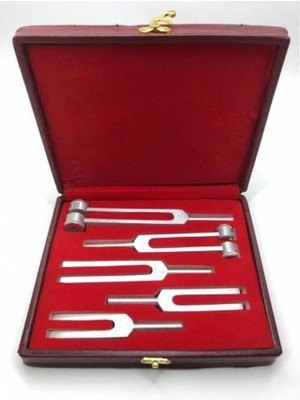 Vzn 5'Li Diapozon Set, Frekans 128, 256, 512, 1024 Ve 2048 (Diyapozon Set)