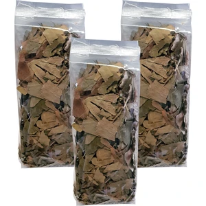 Ginkgo Biloba Bitkisi 3 Paket Ginko Biloba Çayı Kurutulmuş Ginkgo Biloba Bitki