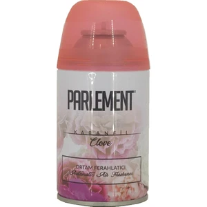 250ML Ortam Kokusu Karanfil