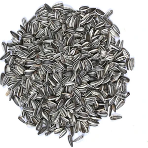 Papağan Çekirdek 1kg