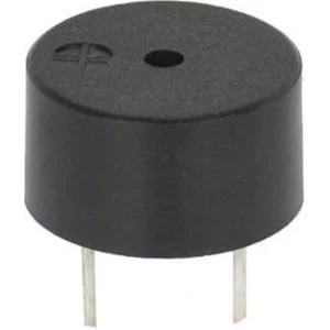 Rakun Robotik 5V Pasif Buzzer