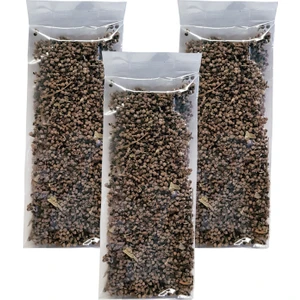 Zencefil Organik Hayıt Tohumu 3 Paket Kurutulmuş Hayıt Tohumu Hayıt Çayı Hayıt Otu Tohumu