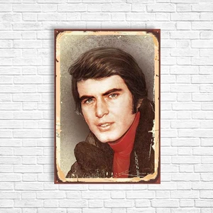 Trend Poster Tarık Akan Yeşilçam Retro Ahşap Poster