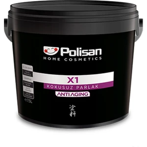 X1 Kokusuz Parlak Beyaz Ahşap Metal Boyası 2,5 Litre