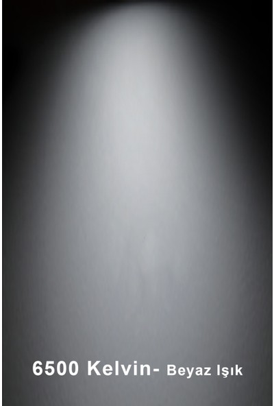 Heslight HS.506/1S 30W Cob LED Ray Spot Siyah Kasa 6500K Beyaz Işık Yüksek Lümen Uzun Ömür