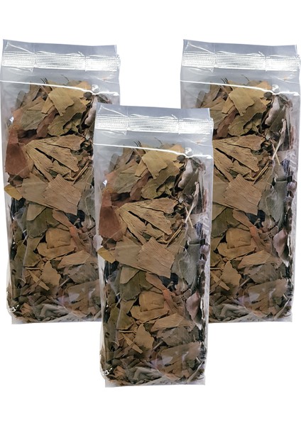 Ginkgo Biloba Bitkisi 3 Paket Ginko Biloba Çayı Kurutulmuş Ginkgo Biloba Bitki