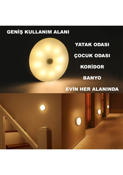 Pır Hareket Sensörlü Çift Renkli USB Şarjlı Gece Lambası