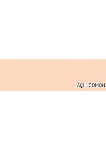 Momento Silan Silinebilir Ipeksi Mat Içcephe Duvar Boyası 15LT Açık Somon fiyatları