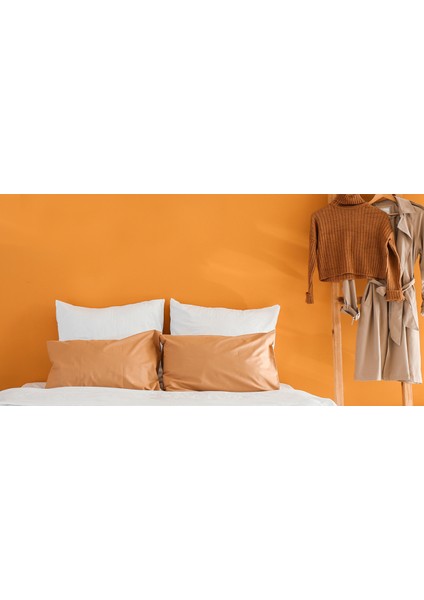 Momento Silan Silinebilir Ipeksi Mat Içcephe Duvar Boyası 15LT EYLÜL180 modelleri