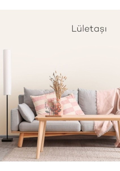 Momento Silan Silinebilir Ipeksi Mat Içcephe Duvar Boyası 15LT Lületaşı fiyatları